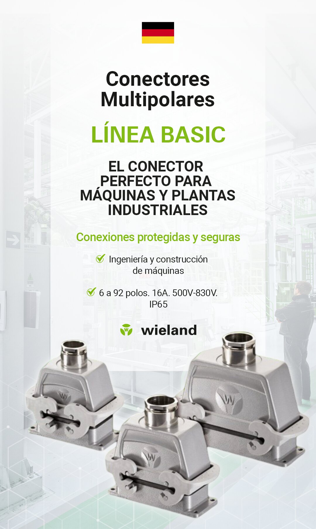 Linea basic Story